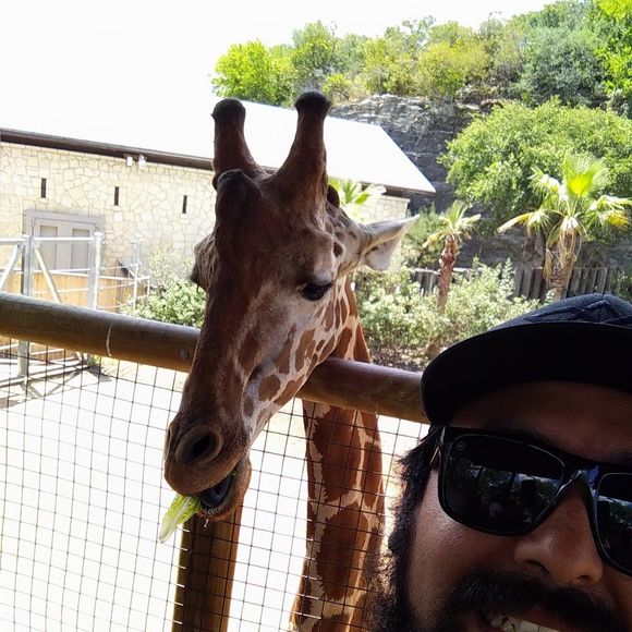 Meet your Posher, Jonathan - Picture 1 of 1